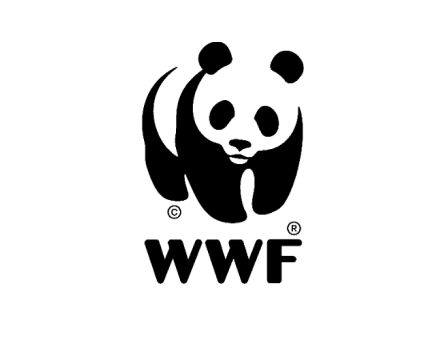 easy tabs